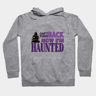 Haunted TV Speak Now TV lyrics Hoodie